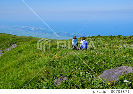 高山植物が咲き乱れる雲上のお花畑、鳥海山（笙ヶ岳） 80703371