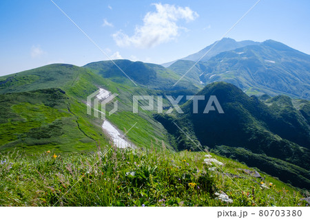 高山植物が咲き乱れる雲上のお花畑、鳥海山(笙ヶ岳) 高山植物が咲き乱れる雲上のお花畑、鳥海山(笙ヶ岳) 80703380