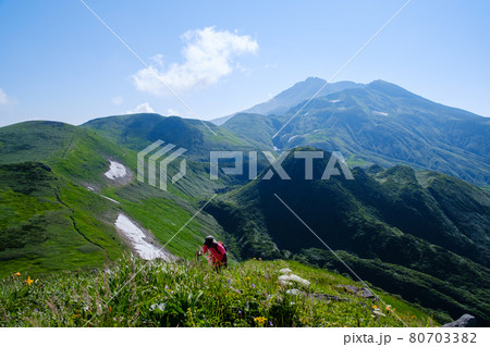高山植物が咲き乱れる雲上のお花畑、鳥海山（笙ヶ岳） 80703382