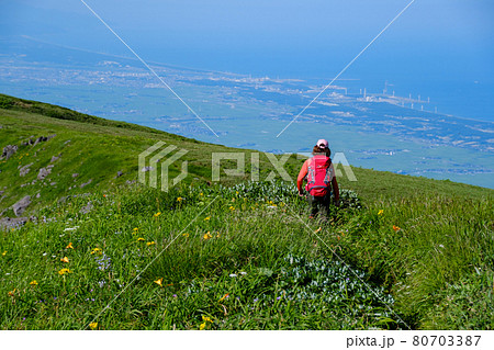 高山植物が咲き乱れる雲上のお花畑、鳥海山(笙ヶ岳) 高山植物が咲き乱れる雲上のお花畑、鳥海山(笙ヶ岳) 80703387