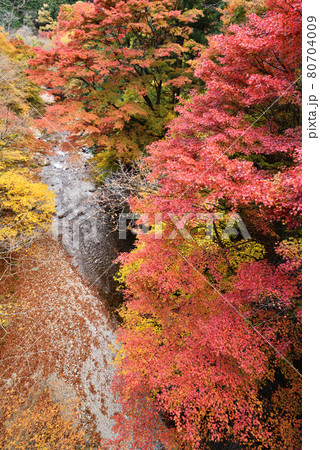 大芦渓谷、鹿沼、栃木県 80704009