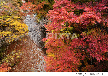 大芦渓谷、鹿沼、栃木県 80704010