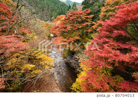 大芦渓谷、鹿沼、栃木県 80704013