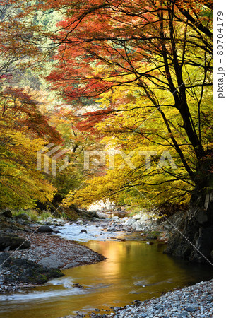 大芦渓谷、鹿沼、栃木県 80704179