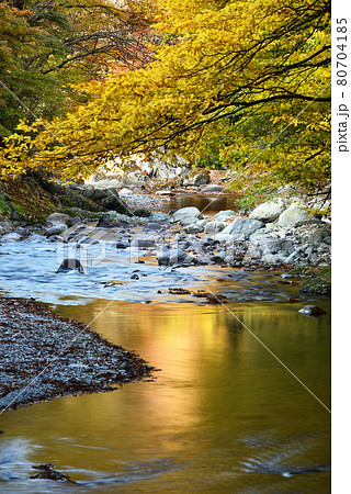 大芦渓谷、鹿沼、栃木県 80704185