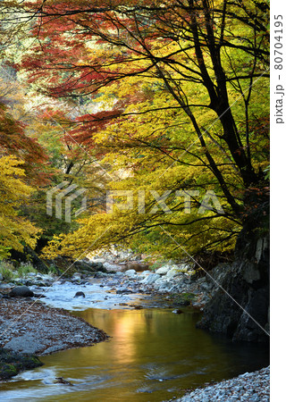 大芦渓谷、鹿沼、栃木県 80704195