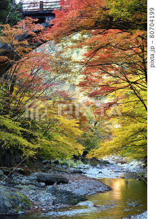 大芦渓谷、鹿沼、栃木県 80704199