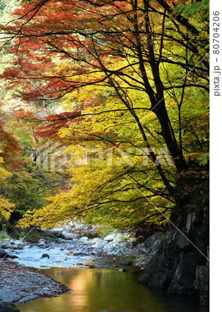 大芦渓谷、鹿沼、栃木県 80704206