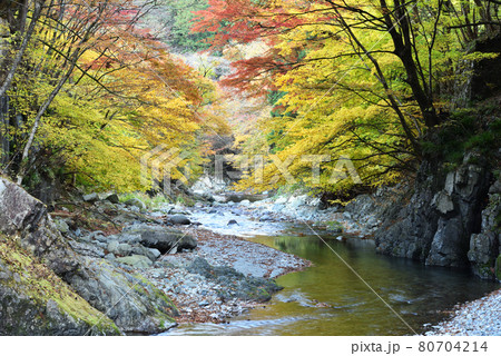 大芦渓谷、鹿沼、栃木県 80704214