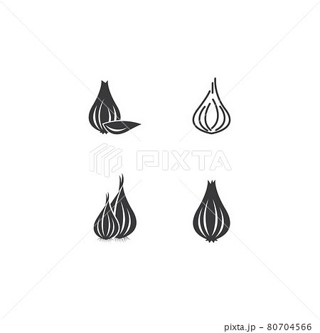 Garlic illustration logo icon vector Garlic illustration logo icon vector 80704566
