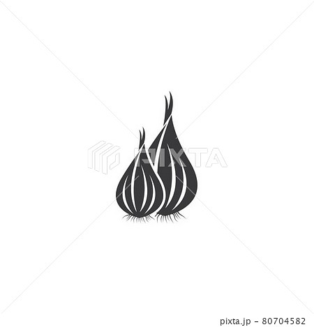 Garlic illustration logo icon vector 80704582