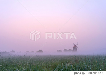 自然 ら 夏 80704843