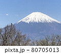富士山 80705013