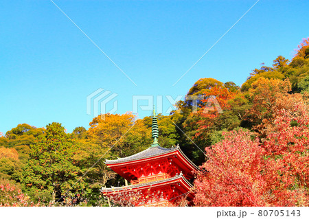 岐阜市、岐阜公園三重塔の風景 岐阜市、岐阜公園三重塔の風景 80705143