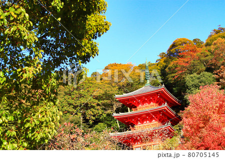 岐阜市、岐阜公園三重塔の風景 岐阜市、岐阜公園三重塔の風景 80705145