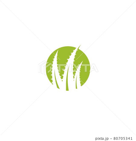 Aloe vera logo Aloe vera logo 80705341