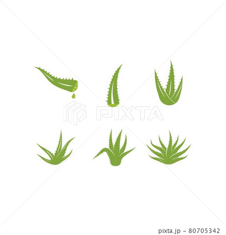 Aloe vera logo 80705342