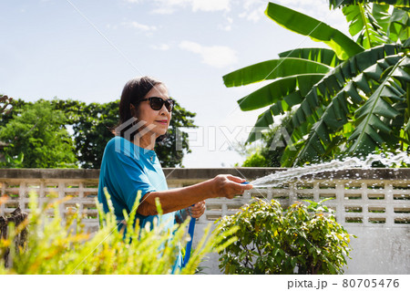 Senior woman watering plants with hose in garden at home. outdoor Senior woman watering plants with hose in garden at home. outdoor 80705476