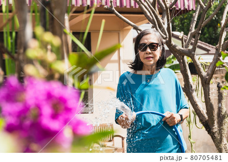 Senior woman watering plants with hose in garden at home. outdoor Senior woman watering plants with hose in garden at home. outdoor 80705481