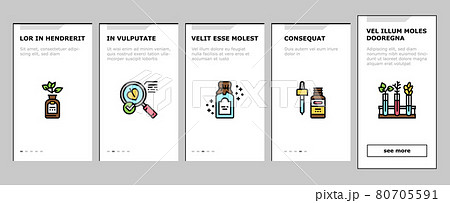 Phytotherapy Treat Onboarding Icons Set Vector 80705591