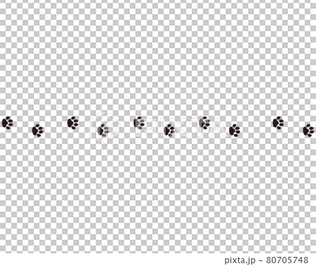 Animal footprints Cat footprints 80705748