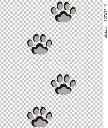 Animal footprints Cat footprints 80705749
