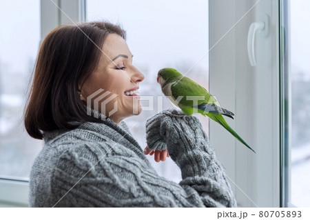 Middle aged woman and parrot together, female bird owner talking looking at green quaker pet 80705893