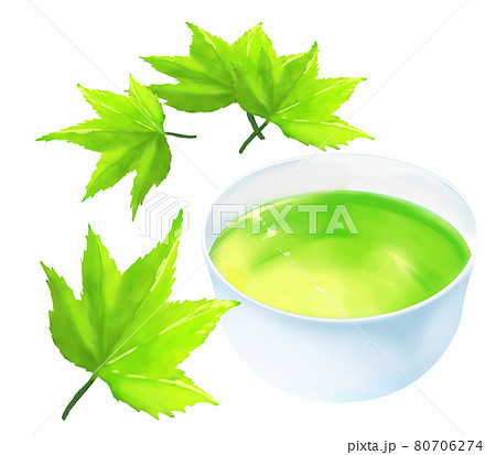 楓と緑茶 楓と緑茶 80706274