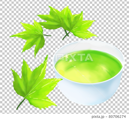 楓と緑茶 楓と緑茶 80706274