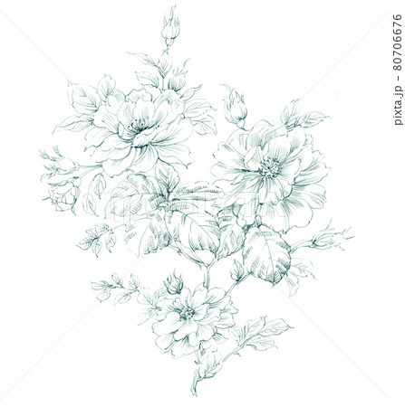 透明水彩 水彩画 花 80706676