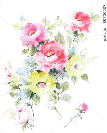 透明水彩 水彩画 花 80706687