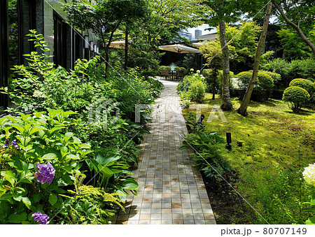 庭の小道 庭の小道 80707149