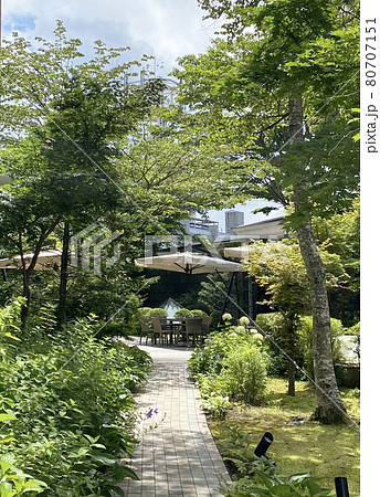 中庭の小道 80707151