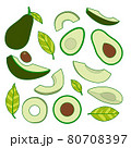 Set of avocado vector. 80708397