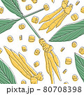Kaempferia hand drawn seamless pattern. 80708398
