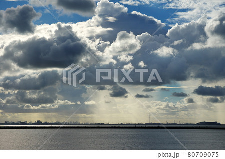 検見川の浜(千葉市美浜区)より東京スカイツリーを望む 検見川の浜(千葉市美浜区)より東京スカイツリーを望む 80709075