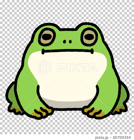 一隻青蛙 80709384