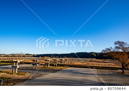 蓬莱橋を一望 80709644