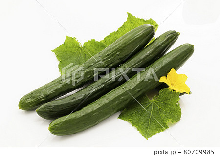 白バックで葉と花を添えたきゅうりの写真素材