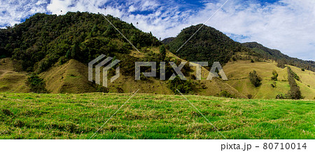 Beautiful panoramic view of the Cocora Valley at the Quindio region in Colombia 80710014
