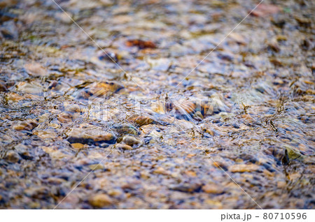 The soil is covered with spring frost, the ground wakes up after winter, cracked soil and spring mornings. 80710596