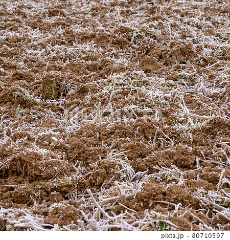 The soil is covered with spring frost, the ground wakes up after winter, cracked soil and spring mornings. 80710597