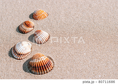 Hello summer with seashells, starfishes on sand ocean beach background. Exotic beach with copy space. Hello summer with seashells, starfishes on sand ocean beach background. Exotic beach with copy space. 80711686