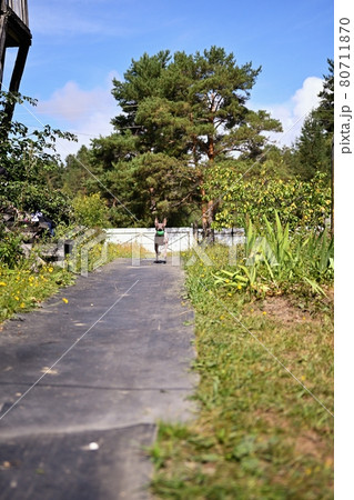 American naked terrier runs around with a ball in the backyard 80711870