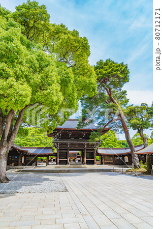 東京の都市風景 明治神宮周辺の風景 80712171