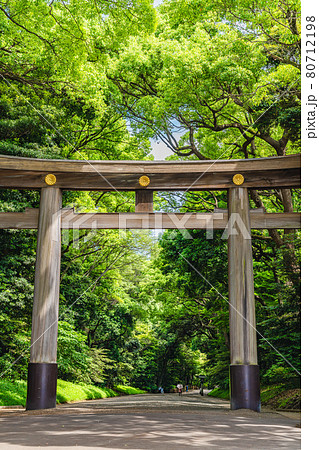 東京の都市風景 明治神宮周辺の風景 80712198