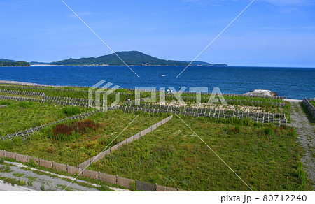 岩手県陸前高田市　津波復興祈念公園前の防潮堤から広田湾を見渡す 80712240