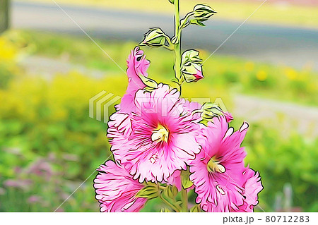 パステル調　”タチアオイ”　イラストイメージ 80712283