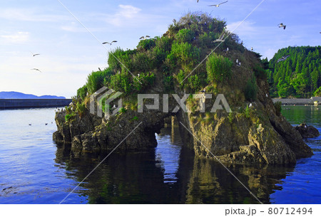 岩手県陸前高田市 要谷漁港内の穴空島に群がるウミネコ 岩手県陸前高田市 要谷漁港内の穴空島に群がるウミネコ 80712494