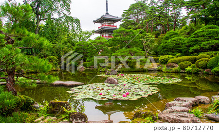 曹洞宗金剛宝山輪王寺の日本庭園と三重塔 80712770